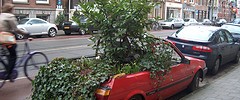 4907_carbranch