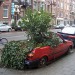 4907_carbranch 4907_carbranch
