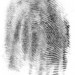 4913_Fingerprint200612 4913_Fingerprint200612