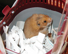 chilly2006.jpg