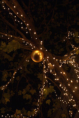 christmasy200612.jpg