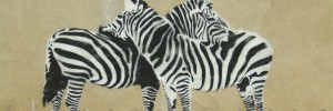 5088_zebrasinlove 5088_zebrasinlove