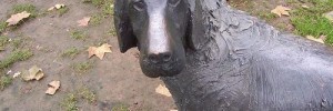 5167_KazooDog 5167_KazooDog