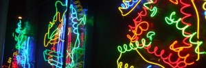 5191_WellcomeTrustwindow2