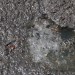 5330_effluent