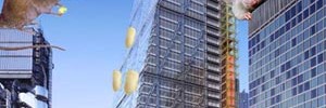 5347_micecheesegrater