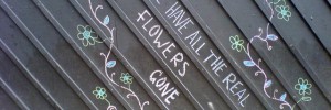 5406_flowers