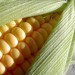 5458_arg 5458_arg