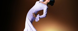 5461_Flamenco 5461_Flamenco