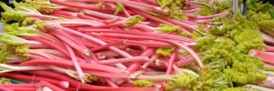 5510_Rhubarb