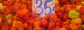5519_hot-paper