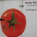 5529_donkey500 5529_donkey500