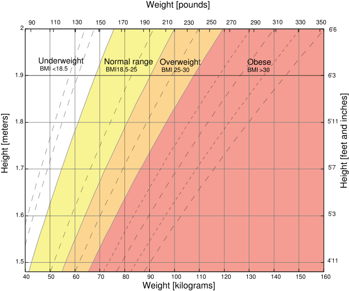 bmi2007.13.02.png