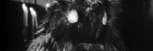 5602_yeti