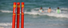 5644_Stumps01