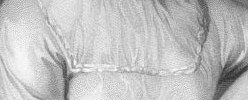 5706_Plain-Jane