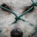 5718_doginfence