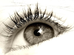 1304big_eye.jpg