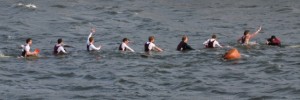 5744_horrparrysan1