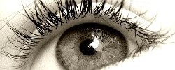 5789_1304big_eye 5789_1304big_eye