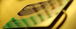 5824_1804_oyster 5824_1804_oyster