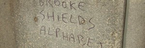 5833_brookeshieldsalphabet