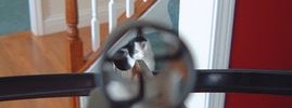 5881_cat_crossbow
