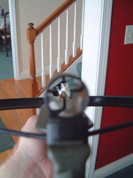 cat_crossbow.jpg