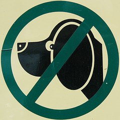 506631677_51bdb6daf9_m.jpg