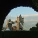 6033_hedge 6033_hedge