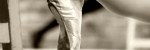 6061_ballet_slippers