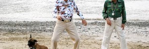 6067_elvisdog
