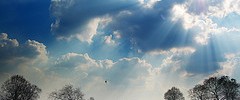6089_hampstead