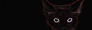 6174_SpookyCat