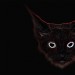 6174_SpookyCat