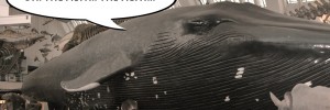 6217_filthywhale2007.08