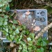6286_1806_rubbish_tv 6286_1806_rubbish_tv