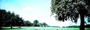 6350_sunbathing