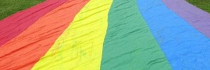 6362_280607prideflag