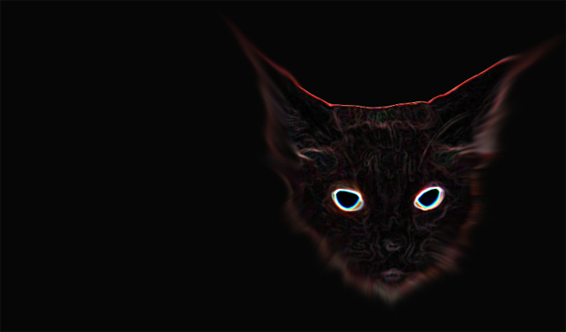 SpookyCat.jpg