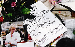 52799679_775d16b0f7_mdiana.jpg