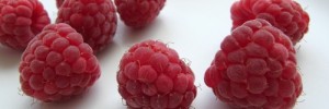 6403_rasp500 6403_rasp500