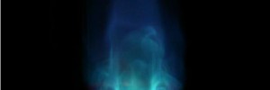 6487_GasOrgan 6487_GasOrgan