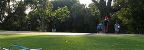 6516_picnic180707 6516_picnic180707