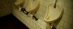 6529_WashroomTalks