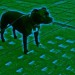 6617_doggie 6617_doggie