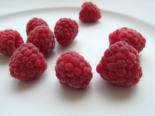 rasp500.jpg