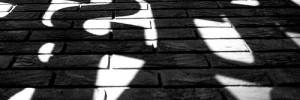 6714_libraryshadow 6714_libraryshadow