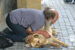 dogbeard%282%29.jpg