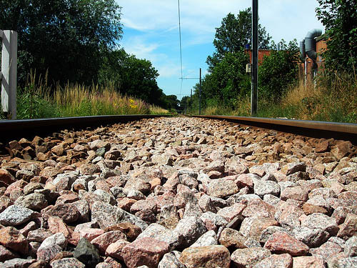 tramtracks.jpg